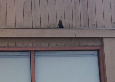 Closeup of a damaged window frame at the Aurora West Bend facility